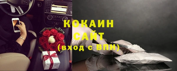 тгк Арсеньев